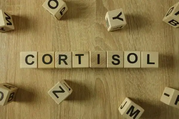 The Hidden Connection: How Stress Shapes Your Fitness and Body Composition 2 Image saying "Cortisol" and how stress Buxton impacts your wellbeing and bodies shape